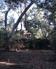 Ghost House Walk Trail Yanchep National Park - Accommodation Broome