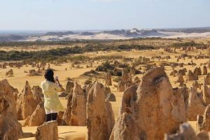 Full-Day Pinnacles Sandboarding and Yanchep National Park from Perth - Accommodation Broome